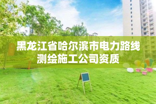 黑龍江省哈爾濱市電力路線測繪施工公司資質