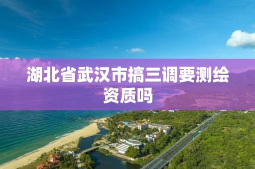 湖北省武漢市搞三調要測繪資質嗎