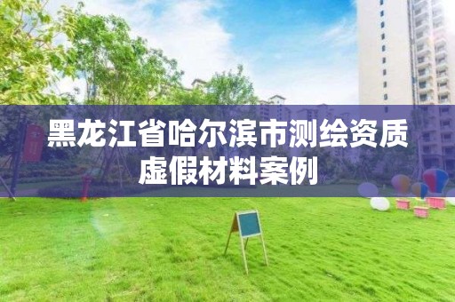 黑龍江省哈爾濱市測繪資質虛假材料案例