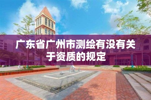 廣東省廣州市測繪有沒有關于資質的規定