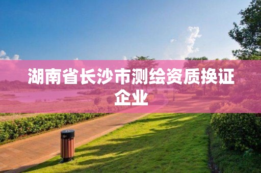 湖南省長沙市測繪資質(zhì)換證企業(yè)