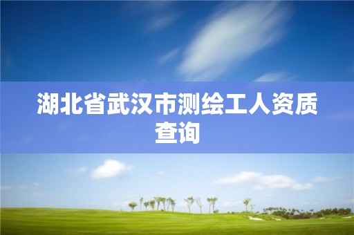 湖北省武漢市測繪工人資質查詢