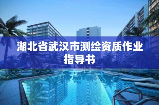 湖北省武漢市測繪資質作業指導書