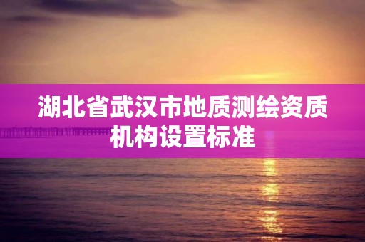 湖北省武漢市地質測繪資質機構設置標準