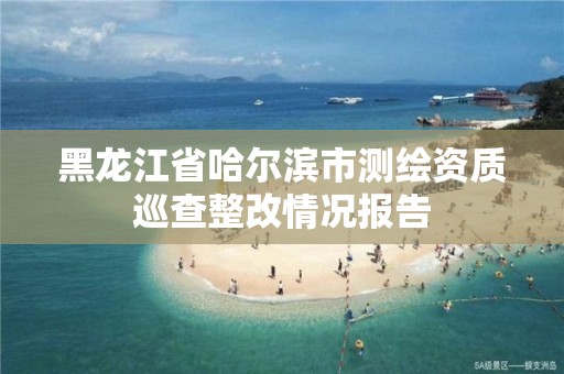 黑龍江省哈爾濱市測繪資質巡查整改情況報告