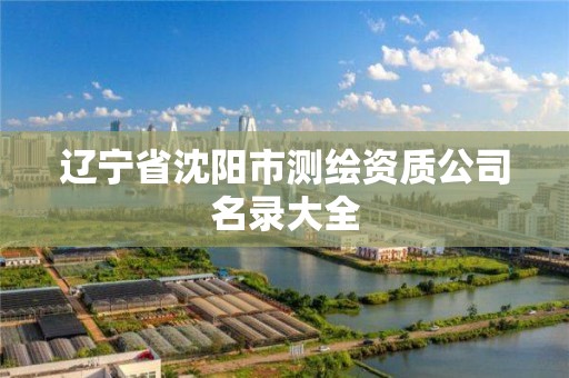 遼寧省沈陽市測繪資質公司名錄大全