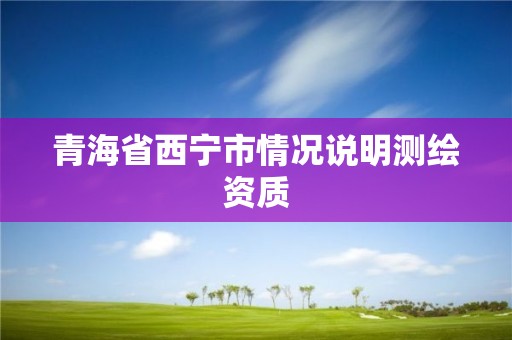 青海省西寧市情況說明測繪資質