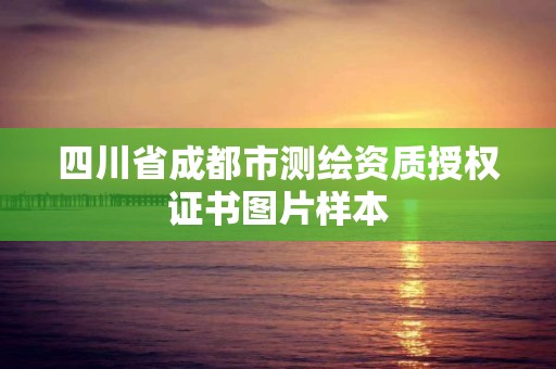 四川省成都市測繪資質(zhì)授權(quán)證書圖片樣本