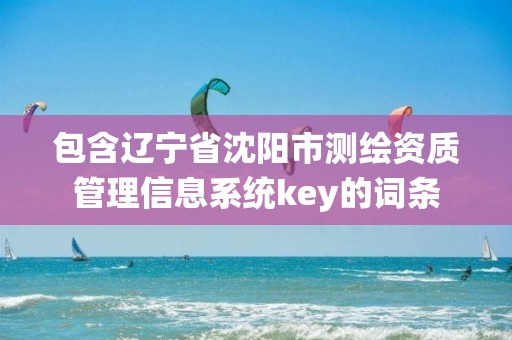 包含遼寧省沈陽市測繪資質管理信息系統key的詞條