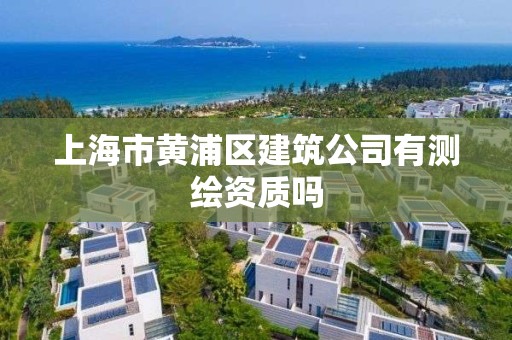 上海市黃浦區(qū)建筑公司有測繪資質(zhì)嗎