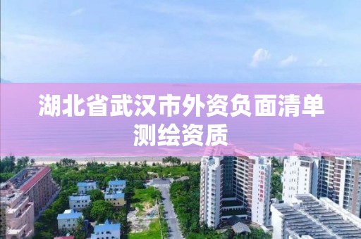 湖北省武漢市外資負面清單測繪資質