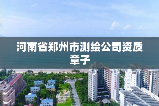 河南省鄭州市測繪公司資質章子