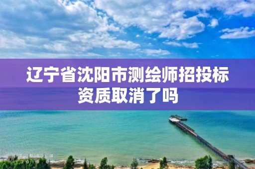 遼寧省沈陽市測繪師招投標資質取消了嗎