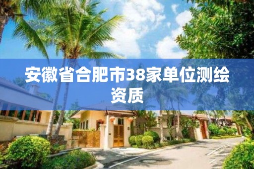 安徽省合肥市38家單位測繪資質(zhì)