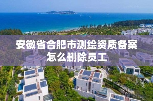 安徽省合肥市測繪資質備案怎么刪除員工