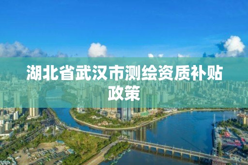 湖北省武漢市測繪資質補貼政策