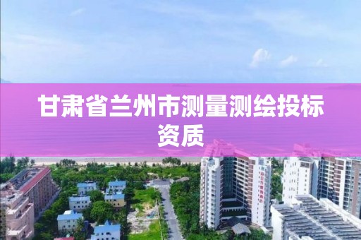 甘肅省蘭州市測量測繪投標資質