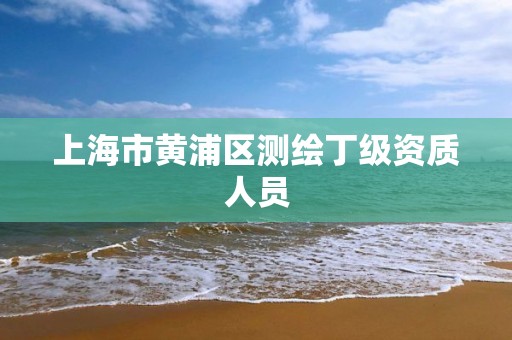 上海市黃浦區測繪丁級資質人員