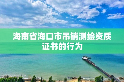 海南省海口市吊銷測繪資質(zhì)證書的行為