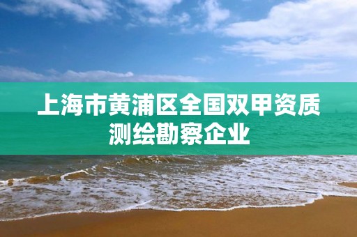 上海市黃浦區全國雙甲資質測繪勘察企業