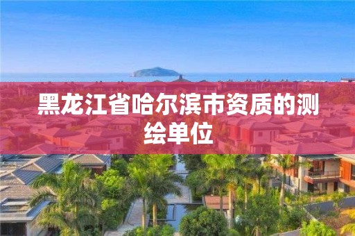 黑龍江省哈爾濱市資質的測繪單位