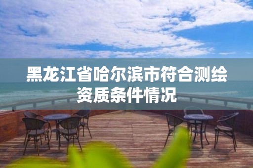 黑龍江省哈爾濱市符合測繪資質條件情況