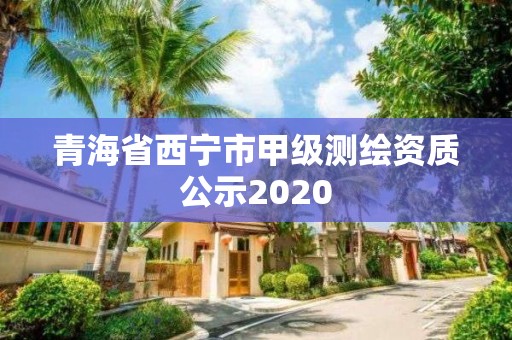 青海省西寧市甲級測繪資質(zhì)公示2020