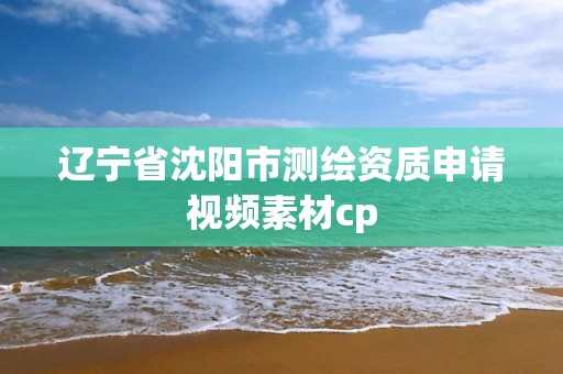 遼寧省沈陽市測繪資質(zhì)申請視頻素材cp