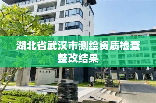 湖北省武漢市測繪資質(zhì)檢查整改結(jié)果