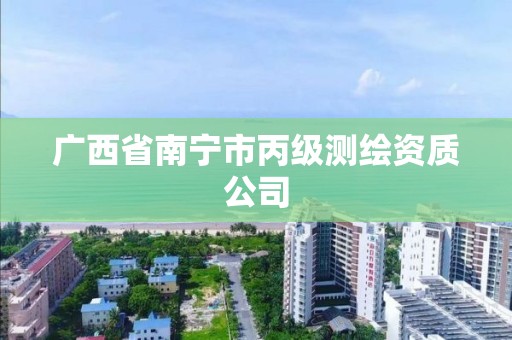 廣西省南寧市丙級測繪資質(zhì)公司