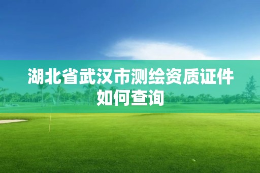 湖北省武漢市測繪資質證件如何查詢