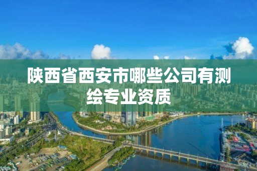 陜西省西安市哪些公司有測繪專業(yè)資質(zhì)