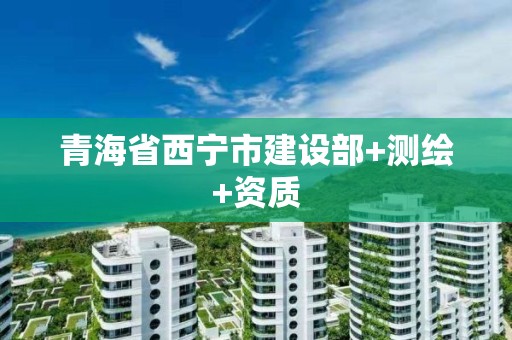 青海省西寧市建設部+測繪+資質