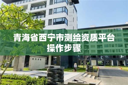 青海省西寧市測繪資質平臺操作步驟