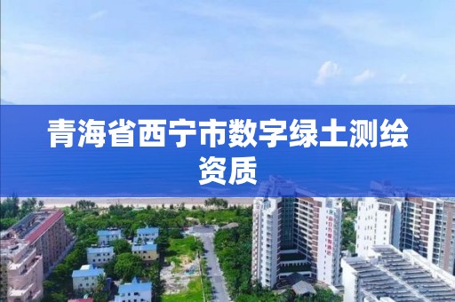 青海省西寧市數字綠土測繪資質