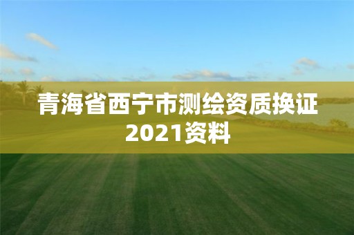 青海省西寧市測繪資質換證2021資料