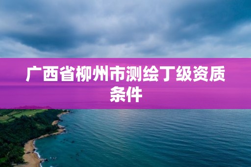 廣西省柳州市測繪丁級資質條件