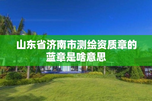 山東省濟南市測繪資質(zhì)章的藍章是啥意思