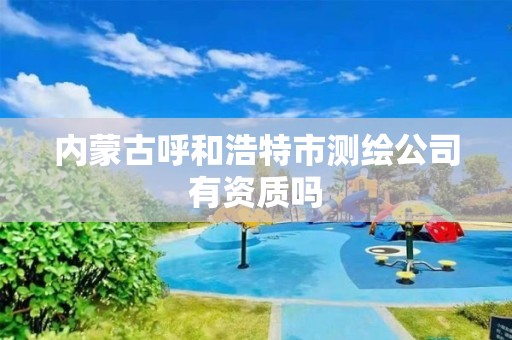 內蒙古呼和浩特市測繪公司有資質嗎