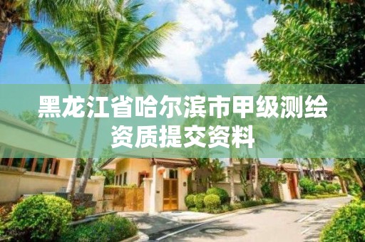 黑龍江省哈爾濱市甲級測繪資質提交資料