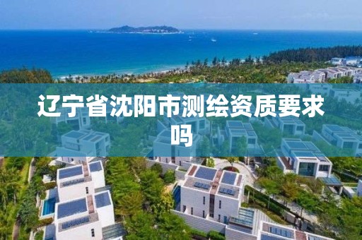 遼寧省沈陽市測繪資質要求嗎