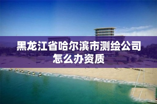 黑龍江省哈爾濱市測繪公司怎么辦資質