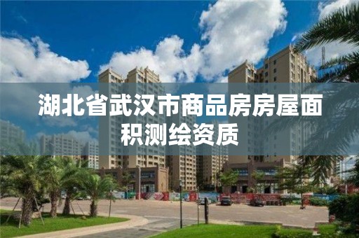 湖北省武漢市商品房房屋面積測繪資質