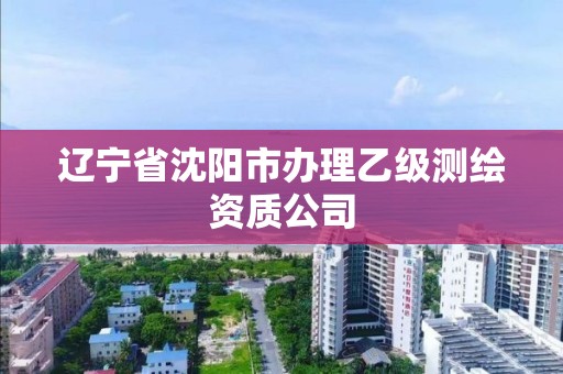 遼寧省沈陽市辦理乙級測繪資質公司