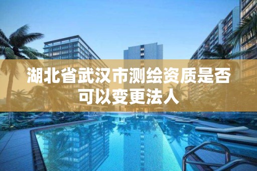 湖北省武漢市測繪資質是否可以變更法人