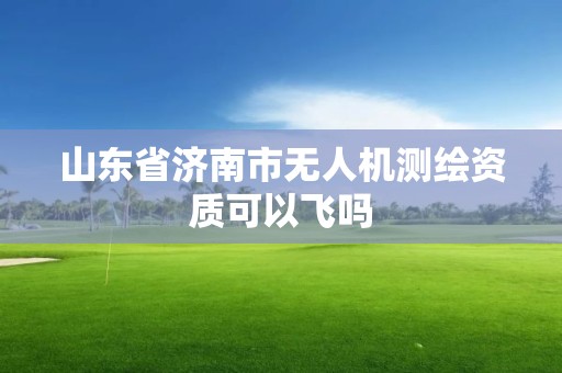 山東省濟南市無人機測繪資質可以飛嗎