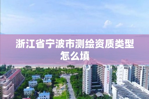 浙江省寧波市測繪資質類型怎么填