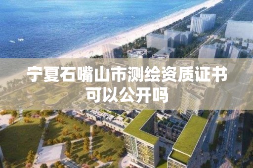 寧夏石嘴山市測繪資質證書可以公開嗎