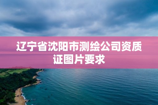 遼寧省沈陽市測繪公司資質證圖片要求