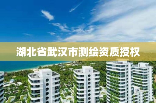 湖北省武漢市測繪資質授權